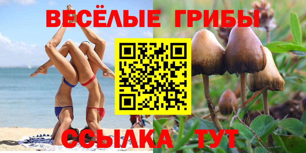 Семёнов  Псилоцибиновые грибы мицелий  Вход с VPN  Галлюциногенные грибы мицелий 